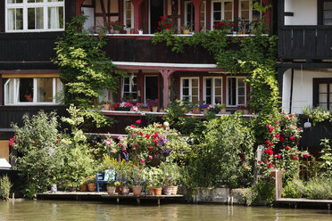 Deutschland, Bayern, Franken, Bamberg, Blick auf Klein-Venedig mit Fluss Regnitz - SIEF000304