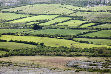 Irland, Grafschaft Clare, Blick auf eine Feldlandschaft - SIEF000320
