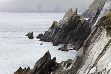 Irland, Grafschaft Kerry, Blick auf Dunmore Head - SIEF000347