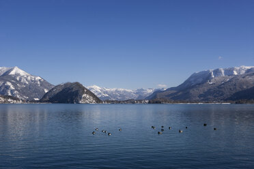 Austria, Salzkammergut, View of birds swimming in wolfgangsee lake with mountains - WWF001830