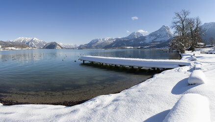 Austria, Salzkammergut, View of birds swimming in wolfgangsee lake - WWF001831