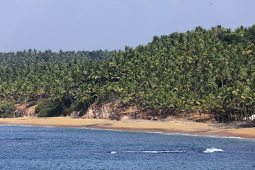 Indien, Südindien, Kerala, Malabarküste, Blick auf Strand mit Palmen bei Kovalam - SIEF000435