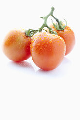 Fresh tomatoes on white background - MAEF003153