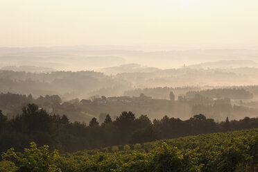 Österreich, Steiermark, Schilcherstraße, Blick auf st. stefan ob stainz am Morgen - SIEF000531