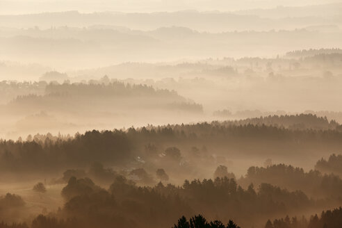 Österreich, Steiermark, Schilcherstraße, Blick auf st. stefan ob stainz am Morgen - SIEF000532