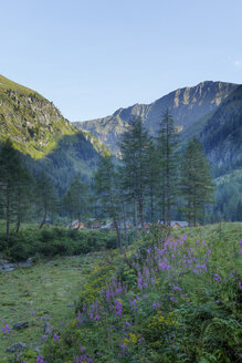 Österreich, Salzburg, Goeriach, Lungau, Blick auf das Dorf im Goeriachtal - SIEF000537