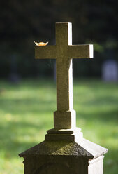 Österreich, Salzburg, Blick auf den Friedhof im Herbst - WWF001841