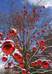 Austria, Salzburg, View of tree decorated with christmas balls - WWF001844