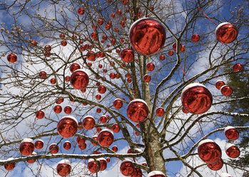 Austria, Salzburg, View of tree decorated with christmas balls - WWF001846