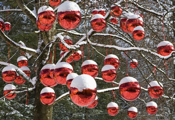 Austria, Salzburg, View of tree decorated with christmas balls - WWF001847