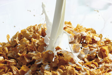 Schale mit Cornflakes und Milch - CSF014771