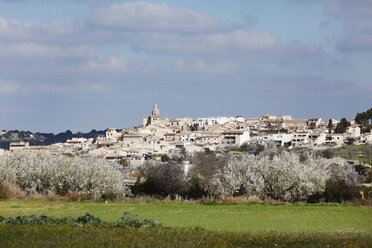 Spanien, Balearische Inseln, Mallorca, Blick auf Montuiri mit blühenden Mandelbäumen - SIEF000622