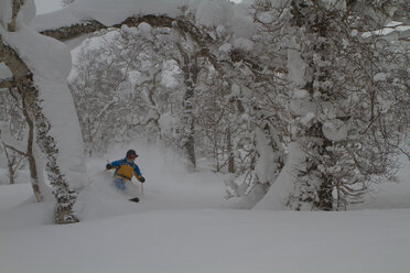Japan, Hokkaido, Rusutsu, Man skiing through trees - FFF001150