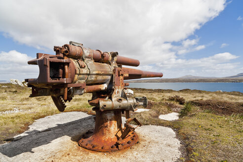 Südatlantik, Vereinigtes Königreich, Britische Überseegebiete, Ost-Falkland, Falklandinseln, Falklands, Port Stanley, Stanley, Blick auf altes Geschütz - FO003218