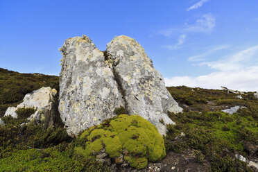 South Atlantic, United Kingdom, British Overseas Territories, East Falkland, Falkland Islands, Falklands, Port Stanley, Stanley, View of landscape at gypsy cove - FOF003219