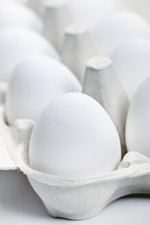 Eggs in egg carton - TSF000187