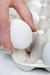 Human hand holding egg from egg carton - TSF000191