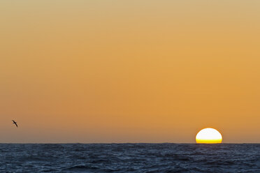 Südatlantik, Blick auf den Sonnenuntergang - FOF003285
