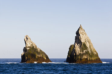 South Atlantic Ocean, United Kingdom, British Overseas Territories, South Georgia and the South Sandwich Islands, View of shag rocks - FOF003293