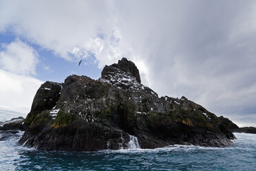 South Atlantic Ocean, Antarctica, South Shetland Islands, View of rock with Chinstrap Penguins near Elephant Island - FOF003248