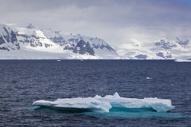 Südatlantik, Antarktis, Antarktische Halbinsel, Gerlache Strait, Blick auf Eisberg mit Pinguin und schneebedeckter Bergkette im Hintergrund - FOF003279