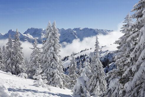 Deutschland, Bayern, Oberbayern, Garmisch-Partenkirchen, Blick auf verschneite Wank mit Wettersteingebirge - SIEF000840