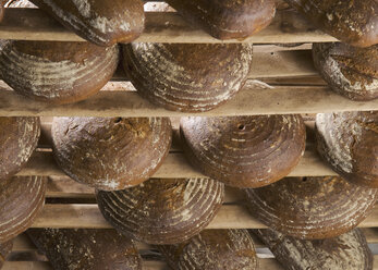 Loaves of bread in rack - WBF000835