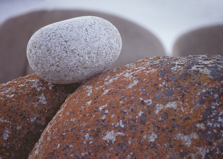 New Zealand, Round pebble and red lichen covered on rocks - WBF000866