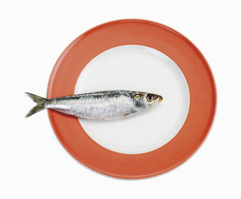 Plate of fish, close up stock photo