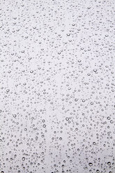 Waterdrops on window, close up - MBEF000083