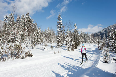 Deutschland, Bayern, Aschermoos, Seniorin beim Skilanglauf - MIRF000109