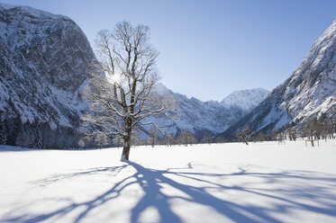 Deutschland, Bayern, Schatten eines fallenden Baumes in der Winterlandschaft des Karwendelgebirges - MIRF000202
