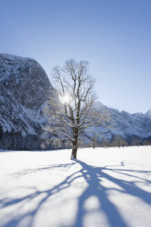 Deutschland, Bayern, Schatten eines fallenden Baumes in der Winterlandschaft des Karwendelgebirges - MIRF000207