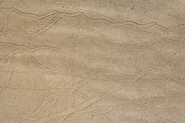 Spain, Canary Islands, Fuerteventura, El Jable, Traces in sand dunes - SIEF001314