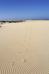 Spanien, Kanarische Inseln, Fuerteventura, Footprints Dünen von Corralejo - SIEF001251