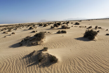 Spanien, Kanarische Inseln, Fuerteventura, Dünen von Corralejo - SIEF001250