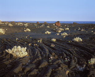 Spain, Canary Islands, El Hierro, View of lava flow - SIE001320