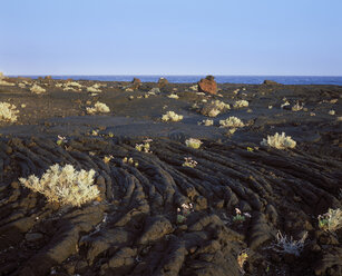 Spanien, Kanarische Inseln, El Hierro, Blick auf Lavastrom - SIE001320