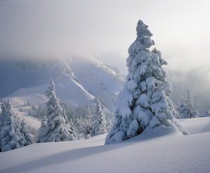 Germany, Bavaria, Swabia, Allgaeu, snow covered breitenberg mountain - SIEF001351