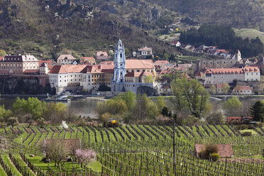 Österreich, Niederösterreich, Wachau, Dürnstein, Stadtansicht mit Donaustrom und Weinberg im Vordergrund - SIEF001376