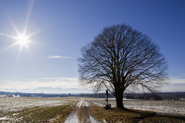 Deutschland, Bayern, Blick auf kahlen Baum mit Kreuz in der Nähe der Schneespur - FOF003343