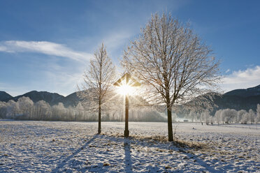 Deutschland, Bayern, Blick auf kahle Bäume mit Frost und Berg im bayerischen Voralpenland - FOF003354