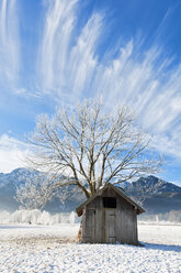 Deutschland, Bayern, Blick auf eine Hütte mit Baum und Bergen im bayerischen Voralpenland an einem frostigen Morgen - FOF003355