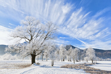 Deutschland, Bayern, Kochelsee, Blick auf bayerischen See unter Eis in frostigem Morgen - FOF003356