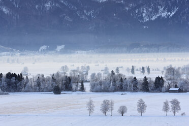 Deutschland, Bayern, Murnauer Moos, Blick auf frostigen Morgen - FOF003361