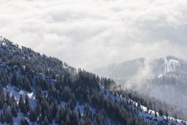 Süddeutschland, Oberbayern, Bayrischzell, Blick vom Wendelstein auf den Wald - FOF003377