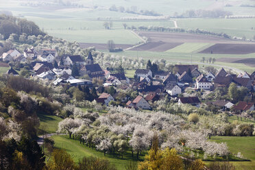 Deutschland, Bayern, Franken, Fränkische Schweiz, Schlaifhausen, Stadtansicht mit Kirschbäumen - SIEF001404