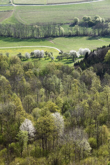 Deutschland, Bayern, Franken, Fränkische Schweiz, Walberla, Blick auf Laubwald im Ehrenbachtal im Frühling - SIEF001413