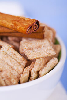 Close up of cinnamon cereal chips in bowl with cinnamon stick on top of it - TSF000245