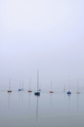 Deutschland, Bayern, Ammersee, Blick auf Segelboote im Nebel - MOF000159